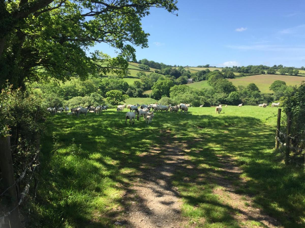 Creber * Totnes